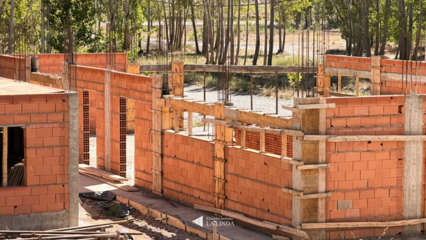 la-forestada-64-macondo