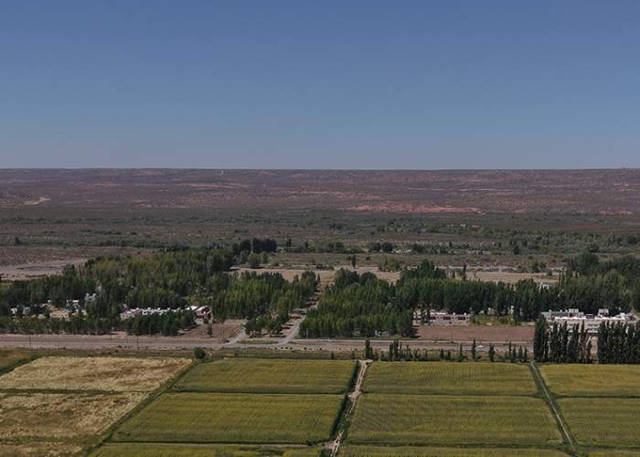 Establecimeinto-la-linda-la-forestada-2